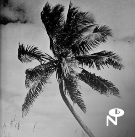 Technicolor Paradise: The Numero Group Guide to Exotica