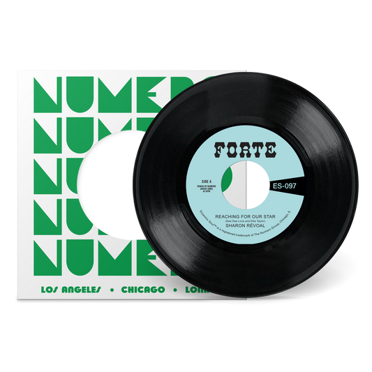 Reaching For Our Star b/w Run Between The Raindrops (While My Teardrops Fall)