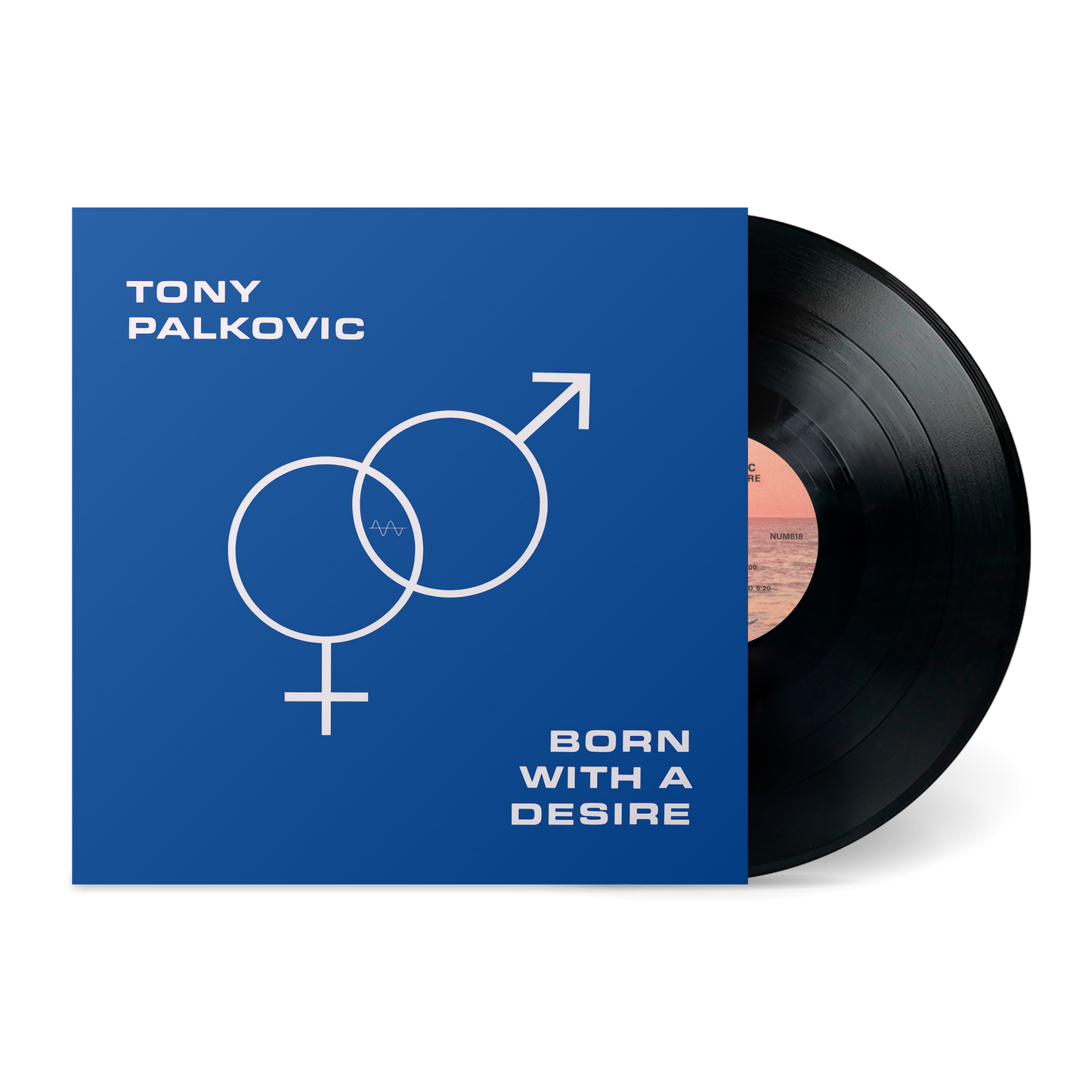 Vinyl record "Born With A Desire" by Tony Palkovic with blue cover and gender symbol design on front.