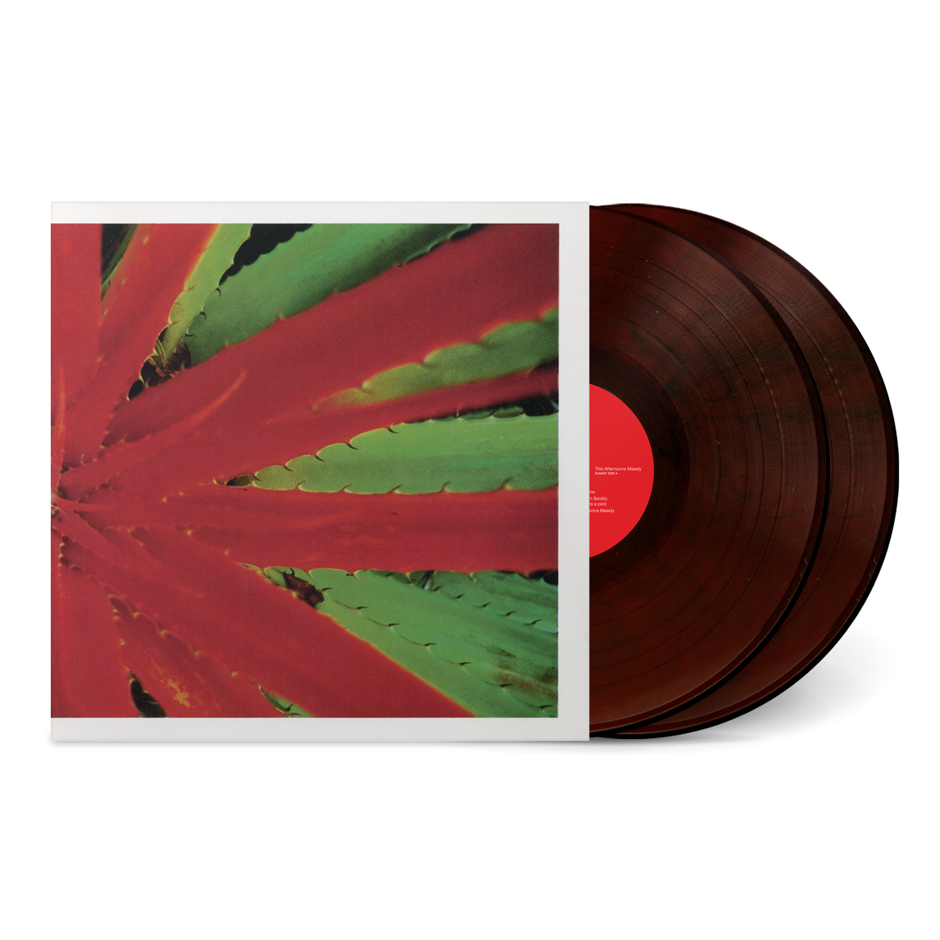 Jejune / This Afternoon's Malady 輸入盤 CD Jejune – This Afternoons Malady – Vinyl (LP, Album, Picture Disc