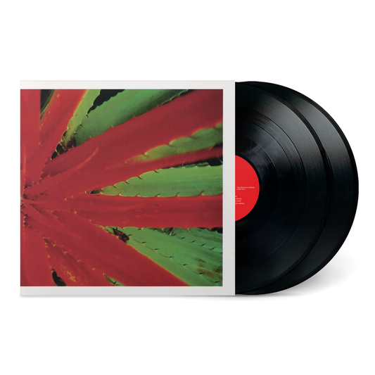 This Afternoons Malady