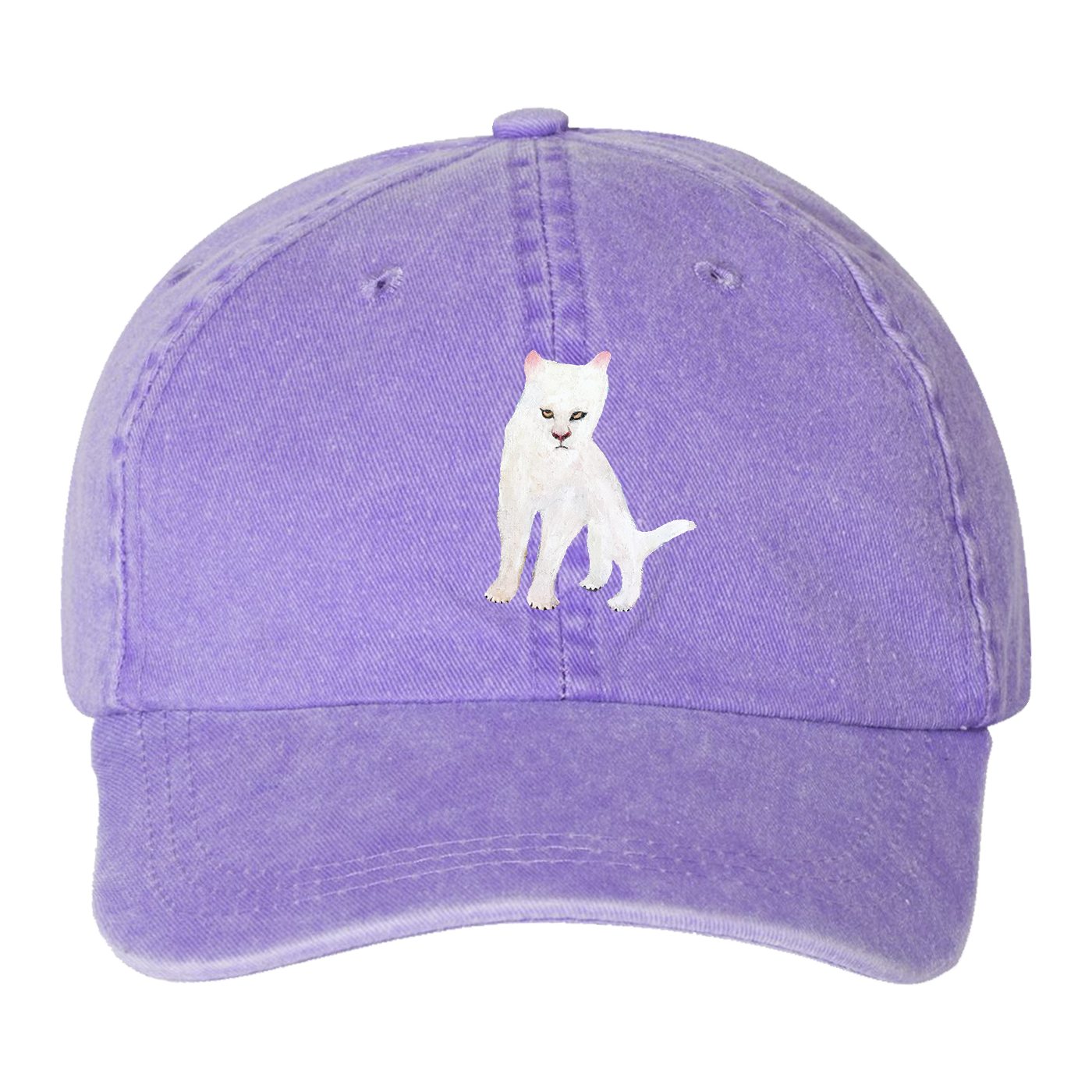Cat 2024 with cap