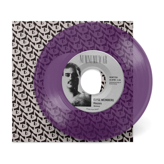 Houses - Elyse Weinberg b/w Dinosaur Jr.