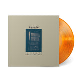 Vinyl record with orange marbled color partially visible from sleeve for In Place Of Real Insight album