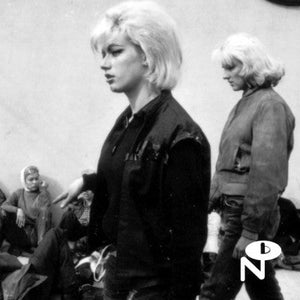 Basement Beehive: The Numero Group Guide to the Girl Group Sound