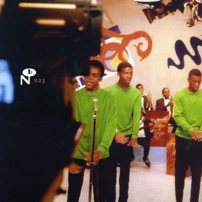 Numero – The Young Disciples digital cover