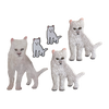 Duster Cat Pack