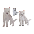 Duster Cat Pack
