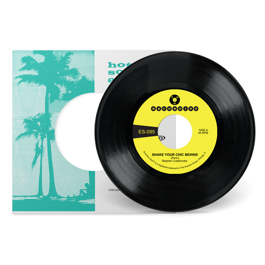 Shake Your Chic Behind b/w Stay Away From Music