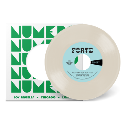 Reaching For Our Star b/w Run Between The Raindrops (While My Teardrops Fall)