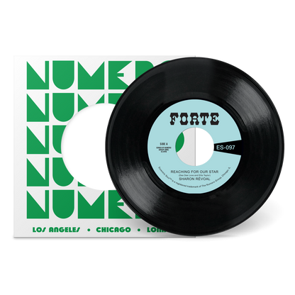 Reaching For Our Star b/w Run Between The Raindrops (While My Teardrops Fall)