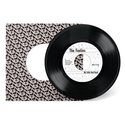 The Boy With The Perpetual Nervousness b/w My Little Red Book