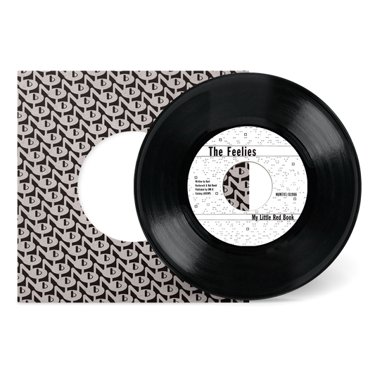 The Boy With The Perpetual Nervousness b/w My Little Red Book