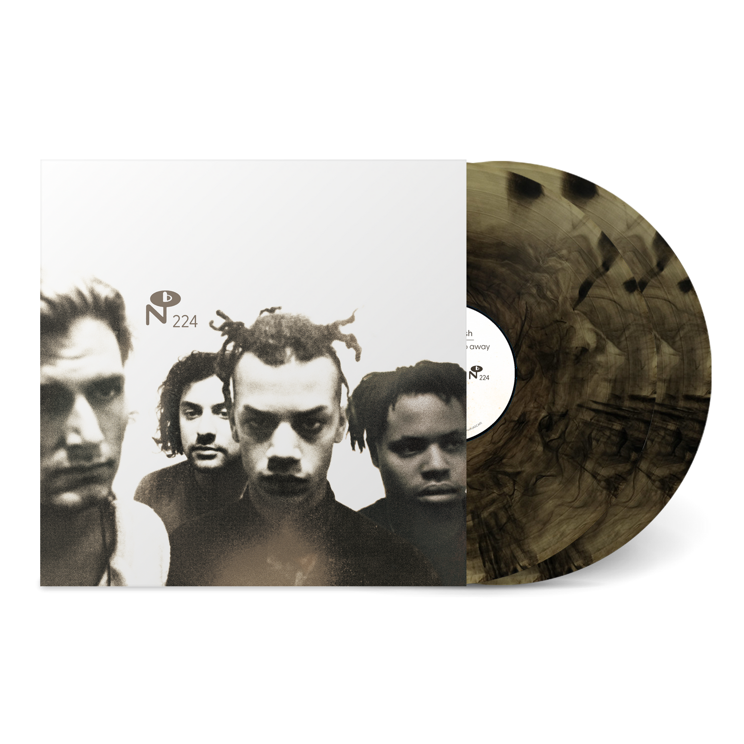 Vinyl record with smoky marbled design and black and white band photo for Butterflies Don't Go Away