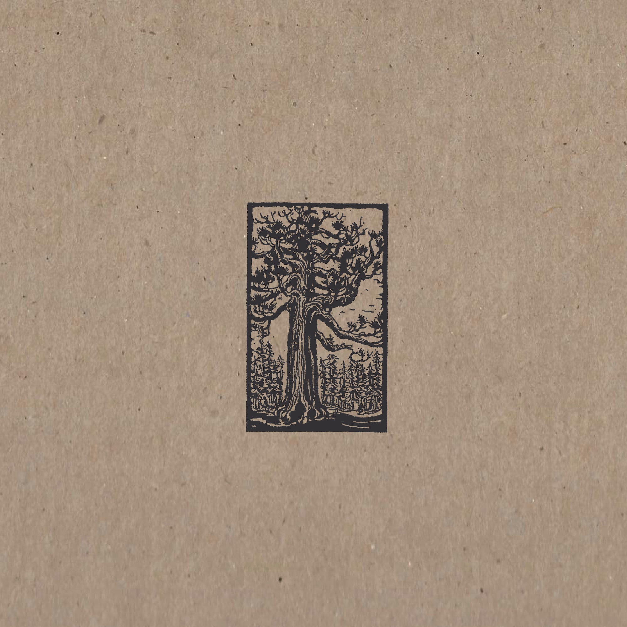 Sequoia – Numero Group