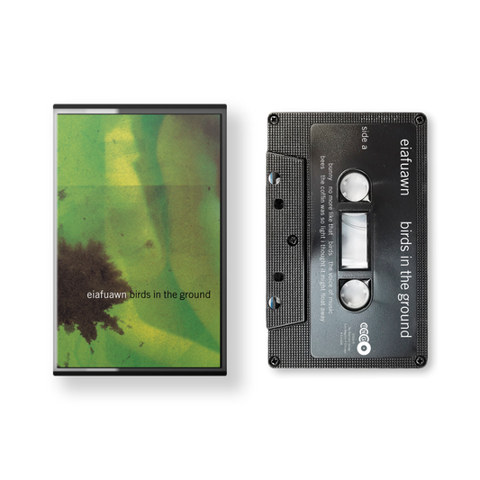 Birds In The Ground cassette tape and case with green abstract cover art and white text on black tape