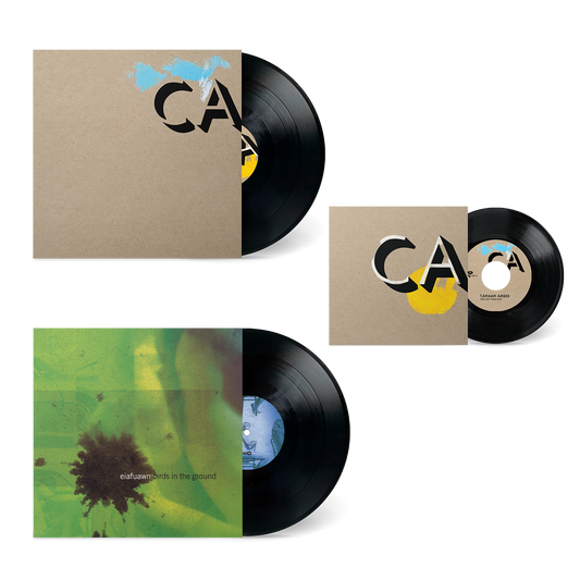 Vinyl record collection featuring CA with minimalist and abstract colorful album covers by Numero Group.