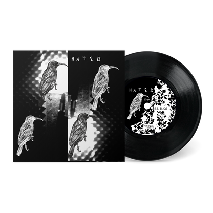 T.S. Eliot b/w Summer Down