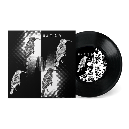 T.S. Eliot b/w Summer Down