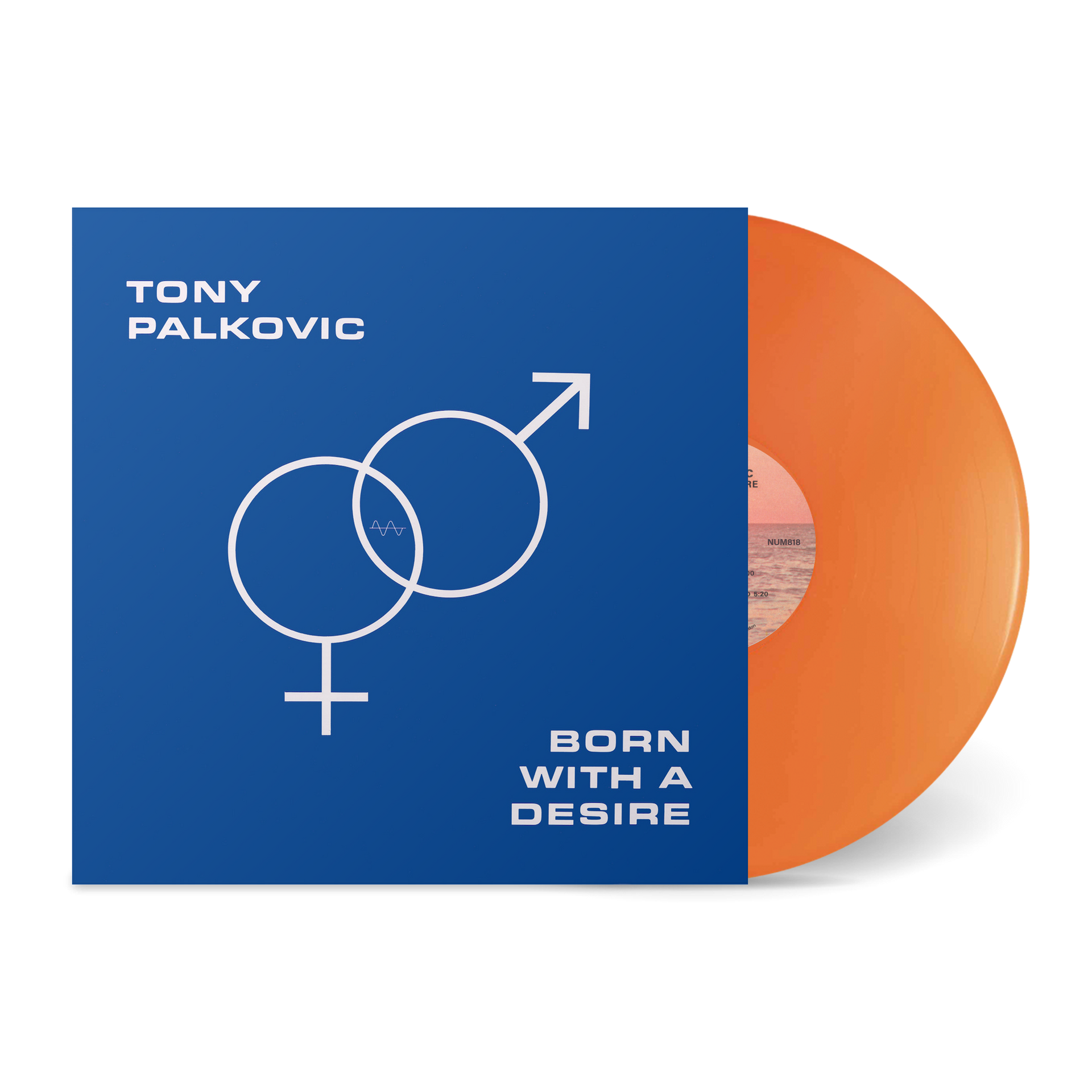 Born With A Desire – Numero Group