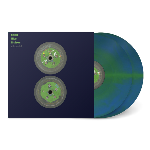 Should - Feed Like Fishes