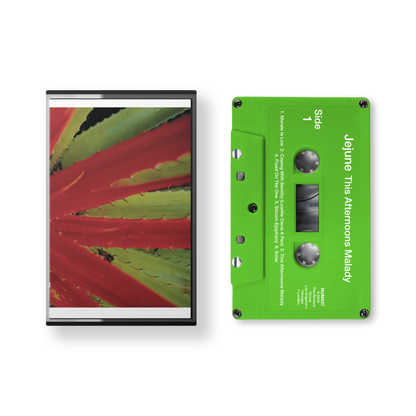 This Afternoons Malady – Numero Group