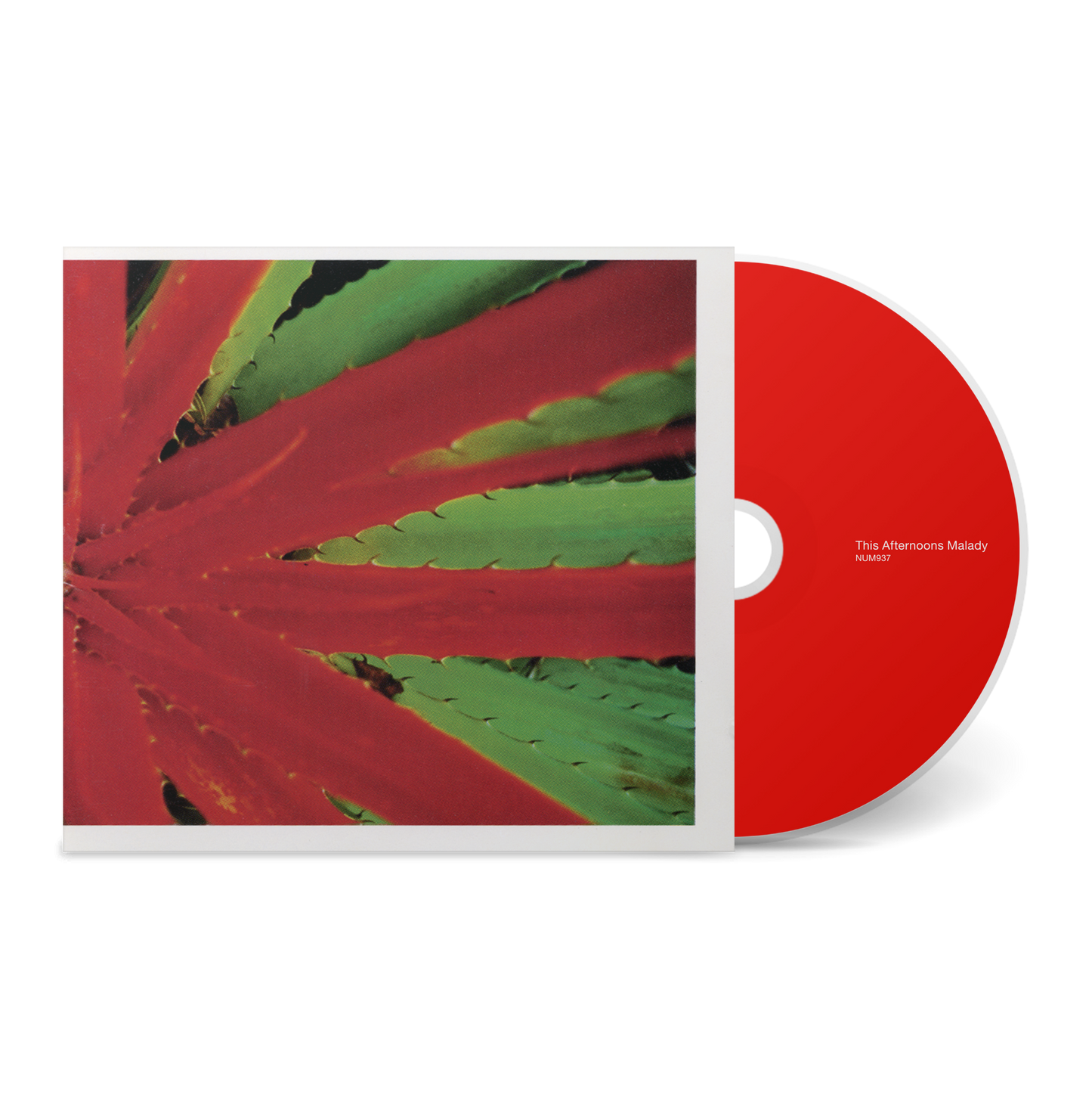 Jejune – This Afternoons Malady エモ　emo This Afternoons Malady – Numero Group