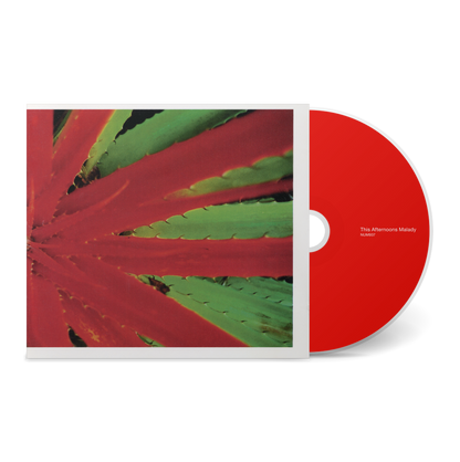 Jejune – This Afternoons Malady エモ　emo This Afternoons Malady – Numero Group
