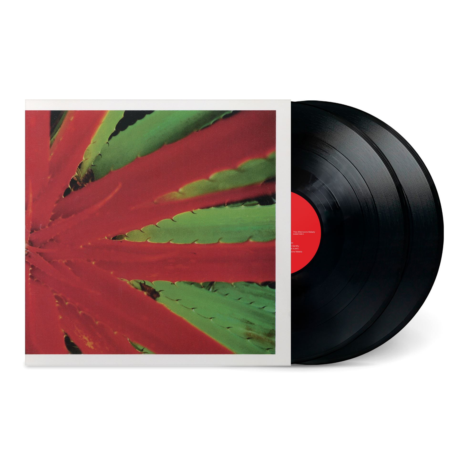 jejune CD this afternoons malady エモ This Afternoons Malady – Numero Group