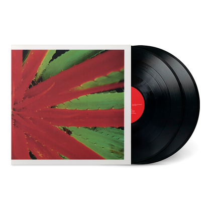 This Afternoons Malady – Numero Group