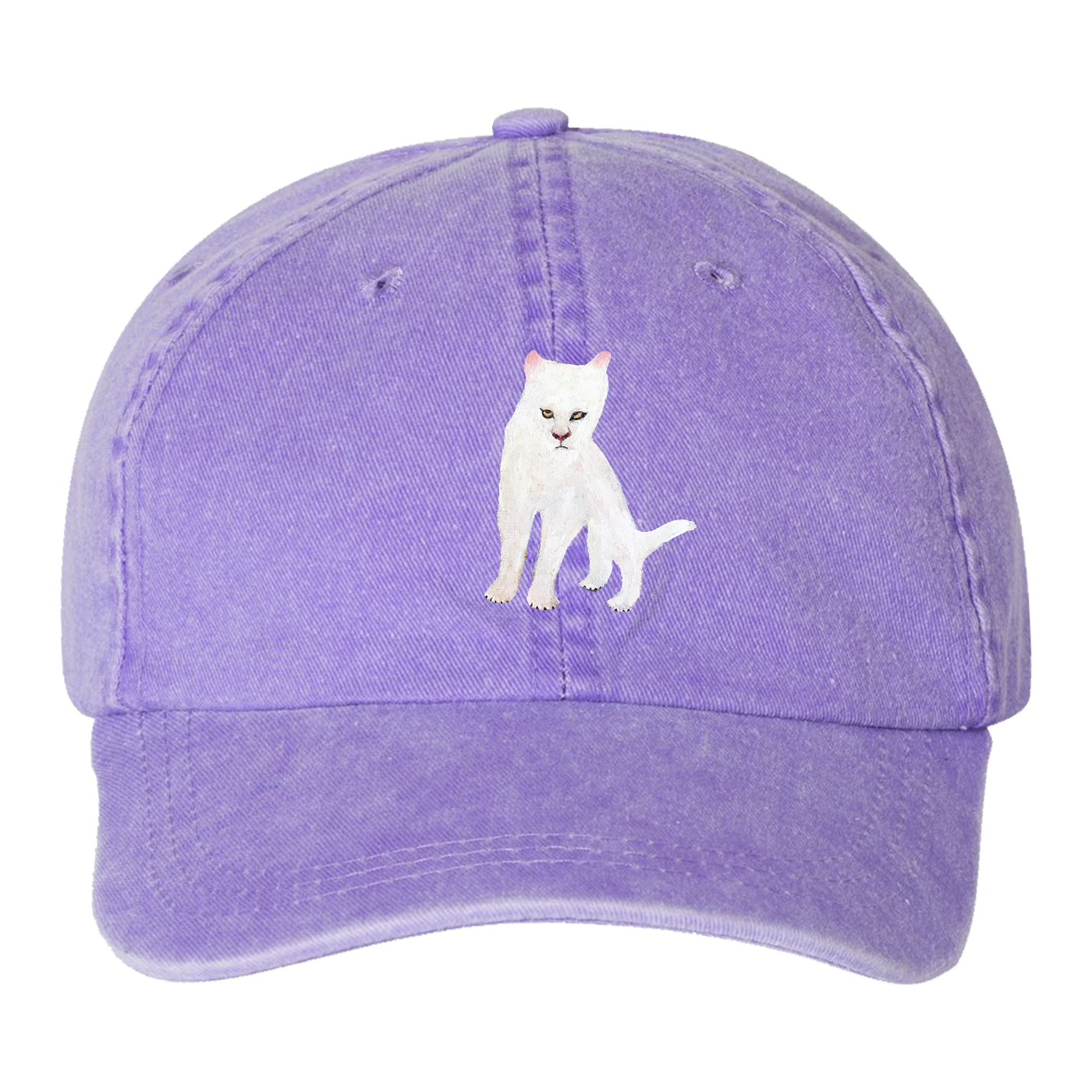 Duster Cat Dad Hat