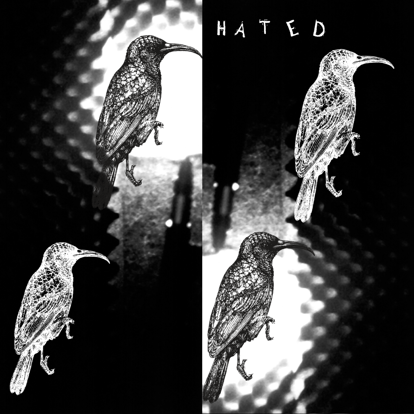 T.S. Eliot b/w Summer Down