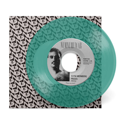 Houses - Elyse Weinberg b/w Dinosaur Jr.