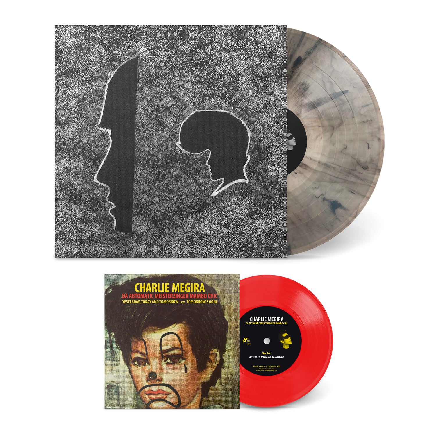 2023 Bundle with rare vinyl records featuring unique colored and marbled designs and distinctive album artwork